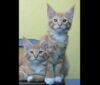 03Kitharas-Bruce-Almighty.jpg