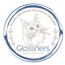 https://www.glossners.de/